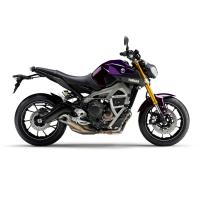 Клетка на мотоцикл YAMAHA MT-09, FZ-09 `13-`16 TRACER -`17 XSR900 `16-`21 CRAZY IRON серии PRO