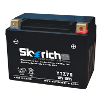 SKYRICH   Аккумулятор  YTZ7S