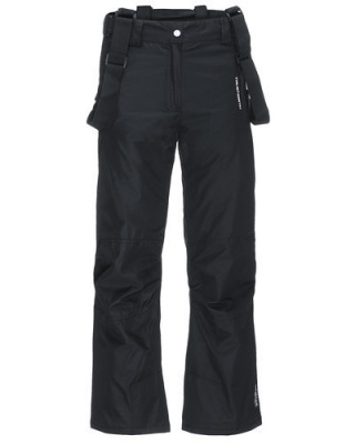 Горнолыжные штаны True North Black фото в интернет-магазине FrontFlip.Ru