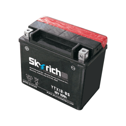SKYRICH   Аккумулятор  YTX12-BS фото в интернет-магазине FrontFlip.Ru