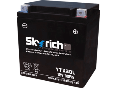 SKYRICH   Аккумулятор  YTX30L-BS (YIX30L-BS) фото в интернет-магазине FrontFlip.Ru