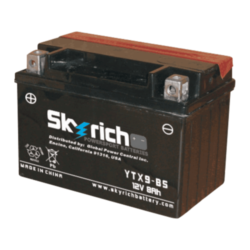 SKYRICH   Аккумулятор  YTX9-BS фото в интернет-магазине FrontFlip.Ru
