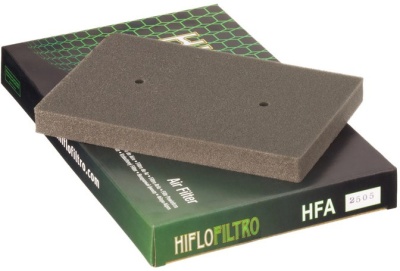 HIFLO  Воздушный фильтр  HFA2505  (EX250) фото в интернет-магазине FrontFlip.Ru
